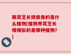 跟灵芝长得很像的是什么植物(植物界灵芝长相相似的是哪种植物？)
