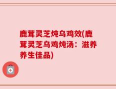 鹿茸灵芝炖乌鸡效(鹿茸灵芝乌鸡炖汤：滋养养生佳品)