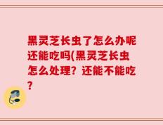 黑灵芝长虫了怎么办呢还能吃吗(黑灵芝长虫怎么处理？还能不能吃？