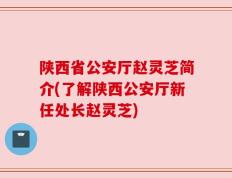 陕西省公安厅赵灵芝简介(了解陕西公安厅新任处长赵灵芝)