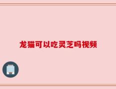龙猫可以吃灵芝吗视频