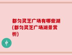 都匀灵芝广场有哪些湖(都匀灵芝广场湖景赏析)