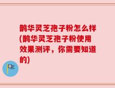 鹊华灵芝孢子粉怎么样(鹊华灵芝孢子粉使用效果测评，你需要知道的)