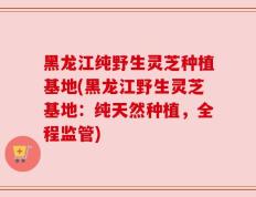 黑龙江纯野生灵芝种植基地(黑龙江野生灵芝基地：纯天然种植，全程监管)