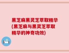 黑芝麻黑灵芝萃取精华(黑芝麻与黑灵芝萃取精华的神奇功效)