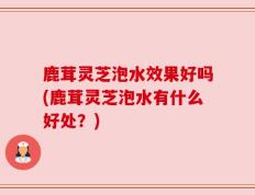 鹿茸灵芝泡水效果好吗(鹿茸灵芝泡水有什么好处？)