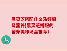 黑灵芝搭配什么汤好喝又营养(黑灵芝搭配的营养美味汤品推荐)