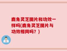 鹿角灵芝图片和功效一样吗(鹿角灵芝图片与功效相同吗？)