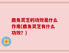 鹿角灵芝的功效是什么作用(鹿角灵芝有什么功效？)