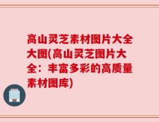 高山灵芝素材图片大全大图(高山灵芝图片大全：丰富多彩的高质量素材图库)