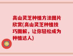 高山灵芝种植方法图片欣赏(高山灵芝种植技巧图解，让你轻松成为种植达人)