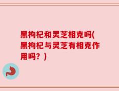 黑枸杞和灵芝相克吗(黑枸杞与灵芝有相克作用吗？)
