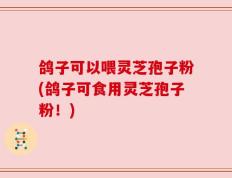 鸽子可以喂灵芝孢子粉(鸽子可食用灵芝孢子粉！)