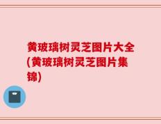 黄玻璃树灵芝图片大全(黄玻璃树灵芝图片集锦)