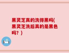 黑灵芝真的洗得黑吗(黑灵芝洗后真的是黑色吗？)