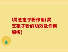 l灵芝孢子粉作用(灵芝孢子粉的功效及作用解析)
