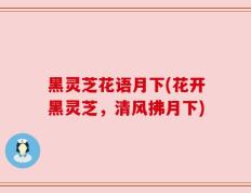 黑灵芝花语月下(花开黑灵芝，清风拂月下)