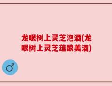 龙眼树上灵芝泡酒(龙眼树上灵芝蕴酿美酒)