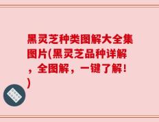 黑灵芝种类图解大全集图片(黑灵芝品种详解，全图解，一键了解！)