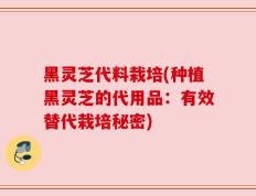 黑灵芝代料栽培(种植黑灵芝的代用品：有效替代栽培秘密)
