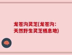 龙苍沟灵芝(龙苍沟：天然野生灵芝栖息地)