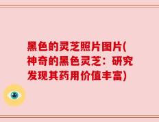 黑色的灵芝照片图片(神奇的黑色灵芝：研究发现其药用价值丰富)