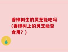 香樟树生的灵芝能吃吗(香樟树上的灵芝能否食用？)
