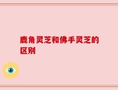 鹿角灵芝和佛手灵芝的区别