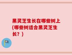 黑灵芝生长在哪些树上(哪些树适合黑灵芝生长？)