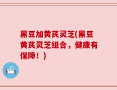 黑豆加黄芪灵芝(黑豆黄芪灵芝组合，健康有保障！)