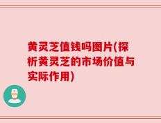 黄灵芝值钱吗图片(探析黄灵芝的市场价值与实际作用)