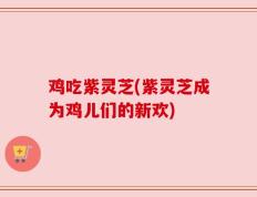 鸡吃紫灵芝(紫灵芝成为鸡儿们的新欢)