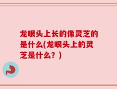 龙眼头上长的像灵芝的是什么(龙眼头上的灵芝是什么？)