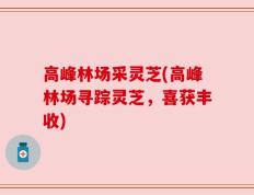 高峰林场采灵芝(高峰林场寻踪灵芝，喜获丰收)