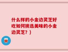 什么样的小金边灵芝好吃如何挑选美味的小金边灵芝？)