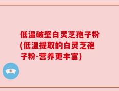 低温破壁白灵芝孢子粉(低温提取的白灵芝孢子粉-营养更丰富)