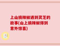 上山摘辣椒遇到灵芝的故事(山上摘辣椒得到意外惊喜)