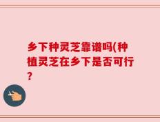 乡下种灵芝靠谱吗(种植灵芝在乡下是否可行？
