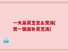 一大朵灵芝怎么煲汤(煲一锅滋补灵芝汤)