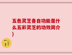 五色灵芝各自功能是什么五彩灵芝的功效简介)
