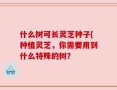 什么树可长灵芝种子(种植灵芝，你需要用到什么特殊的树？