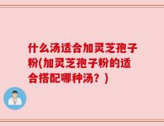 什么汤适合加灵芝孢子粉(加灵芝孢子粉的适合搭配哪种汤？)