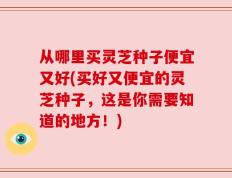 从哪里买灵芝种子便宜又好(买好又便宜的灵芝种子，这是你需要知道的地方！)