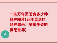 一株万年灵芝有多少种品种图片(万年灵芝的品种展示：多彩多姿的灵芝世界)