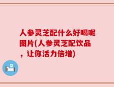 人参灵芝配什么好喝呢图片(人参灵芝配饮品，让你活力倍增)