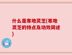 什么是寒地灵芝(寒地灵芝的特点及功效简述)