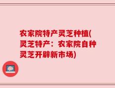 农家院特产灵芝种植(灵芝特产：农家院自种灵芝开辟新市场)