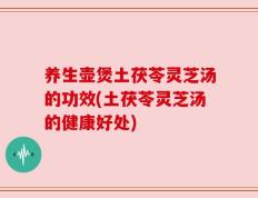 养生壶煲土茯苓灵芝汤的功效(土茯苓灵芝汤的健康好处)