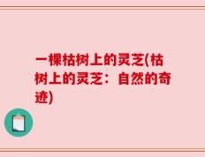 一棵枯树上的灵芝(枯树上的灵芝：自然的奇迹)