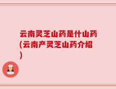 云南灵芝山药是什山药(云南产灵芝山药介绍)